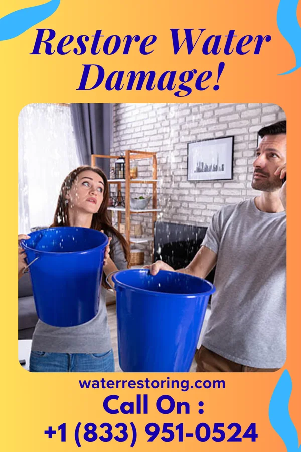 water restoration Imperial Water Removal Masters Marseilles