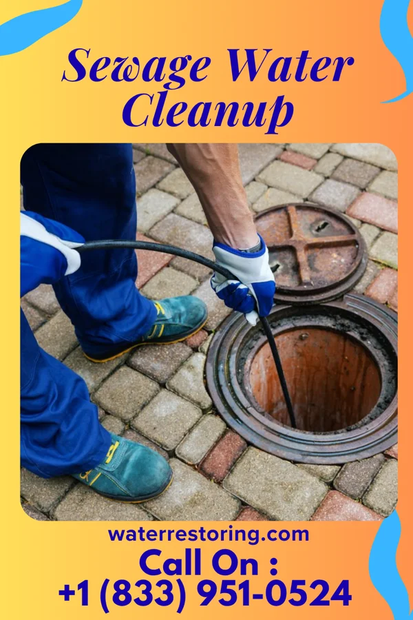 Sewage Water Cleanup in Marseilles, IL